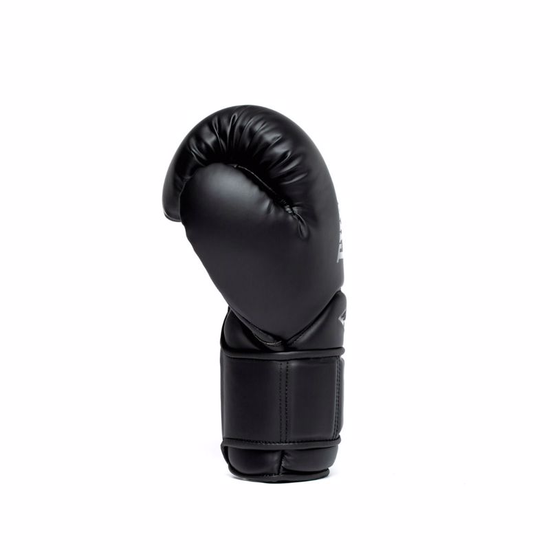 Everlast Elite 2 Pro Boxing Gloves H&L